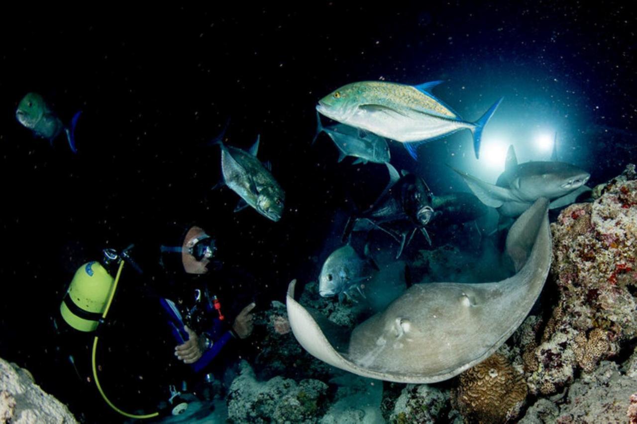 Hotel And Dive Center Roatan Yacht Club French Harbour Exteriér fotografie