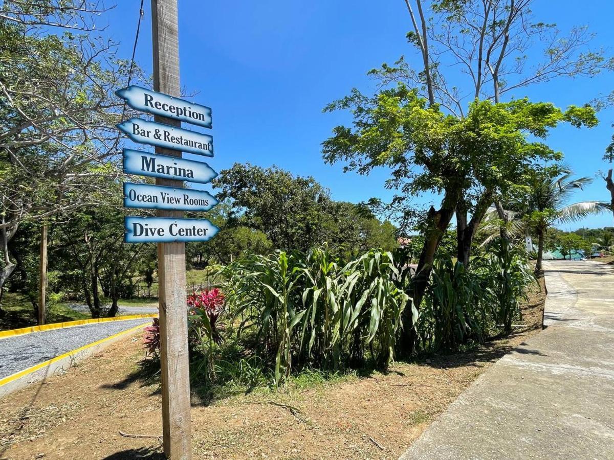 Hotel And Dive Center Roatan Yacht Club French Harbour Exteriér fotografie